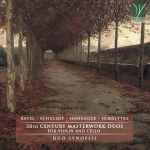 Cover for album: Ravel, Schuloff, Honegger, Schnittke - Duo Synopsis – 20th Century Masterwork Duos For Violin And Cello(CD, Album)