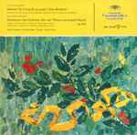 Cover for album: Franz Schubert, Johannes Brahms, Ferenc Fricsay, Radio-Symphonie-Orchester Berlin – Sinfonie Nr.8 H-Moll Op.Posth. (Unvollendete) - Variationen Fur Orchester Uber Ein Thema Von Josef Haydn Op. 56a