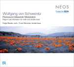 Cover for album: Wolfgang von Schweinitz - Helge Slaatto, Frank Reinecke – Plainsound Glissando Modulation(CD, Album)