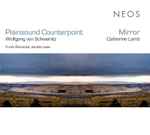 Cover for album: Wolfgang von Schweinitz / Catherine Lamb - Frank Reinecke – Plainsound Counterpoint / Mirror(CD, Album)