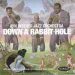 Cover for album: Ayn Inserto Jazz Orchestra – Down A Rabbit Hole(CD, Album)