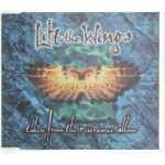 Cover for album: Lift The Wings (Taken From The Riverdance Album)