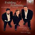 Cover for album: Frühling & Zemlinsky, Davide Bandieri, Joel Marosi, Marja-Liisa Marosi – Clarinet Trios(CD, Album)