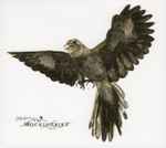 Cover for album: The Mockingbird(CD, Album)