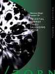 Cover for album: Ken Jacobs / John Zorn – Celestial Subway Lines/Salvaging Noise(DVD, NTSC, Stereo)