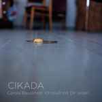 Cover for album: Cikada, Carola Bauckholt – Ich Muß Mit Dir Reden