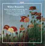 Cover for album: Walter Braunfels, Raudales · Merkel · Reitmayer · Ostertag, Münchner Rundfunkorchester, Ulf Schirmer – Quintet For String Orchestra Op. 63a / Sinfonia Concertante Op. 68(8×File, AAC, Album)