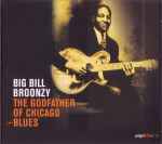 Cover for album: The Godfather Of Chicago Blues(CD, Compilation)