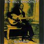 Cover for album: Big Bill Blues(CD, Compilation, Album)