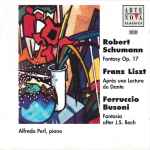 Cover for album: Alfredo Perl, Schumann • Liszt • Busoni – Piano Fantasies(CD, )