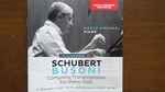 Cover for album: Marco Vincenzi, Schubert, Busoni – Complete Transcriptions For Piano Solo(CD, Album)
