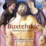 Cover for album: Buxtehude - Luthers Bach Ensemble, Tymen Jan Bronda – Membra Jesu Nostri(CD, )