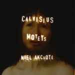 Cover for album: Sethus Calvisius, Noël Akchoté – Motets (Arranged For Guitar)(12×File, MP3, Album)