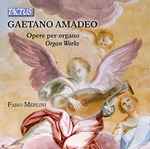 Cover for album: Fabio Merlini – Opere Per Organo (Organ Works)(CD, )