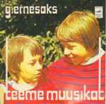 Cover for album: Teeme Muusikat