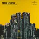 Cover for album: Gábor Lehotka, Kodály, Farkas, Maros, Sulyok, Szőnyi, Hungarian State Orchestra, Gyula Németh – Contemporary Hungarian Organ Music
