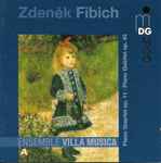 Cover for album: Ensemble Villa Musica, Zdeněk Fibich – Chamber Music - Piano Quartet Op. 11 / Piano Quintet Op. 42/(CD, )