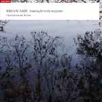 Cover for album: Niels W. Gade, Christina Åstrand, Per Salo – Sonatas For Violino And Piano(10×File, FLAC, Album)