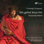 Cover for album: Christoph Graupner – Anton-Webern-Chor Freiburg, Ensemble Concerto Grosso, Hans Michael Beuerle – Wo Gehet Jesus Hin - Passionskantaten(CD, )