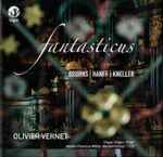 Cover for album: Bruhns | Hanff | Kneller - Olivier Vernet – Fantasticus (Intégrale Des Œuvres Pour Orgue | Complete Organ Works | Die Orgelwerken)(CD, Album)