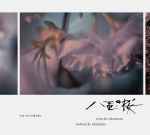 Cover for album: Ryuichi Sakamoto, Nobuyuki Nakajima – NHK大河ドラマ「八重の桜」オリジナル・サウンドトラック II(CD, )